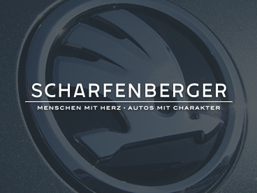 der-tm_project_logodesign_slogan_autohaus_scharfenberger_bietigheim_grafikdesign_weinstadt_waiblingen.jpg